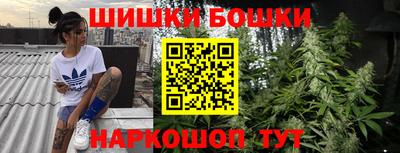 Альфа ПВП Бийск