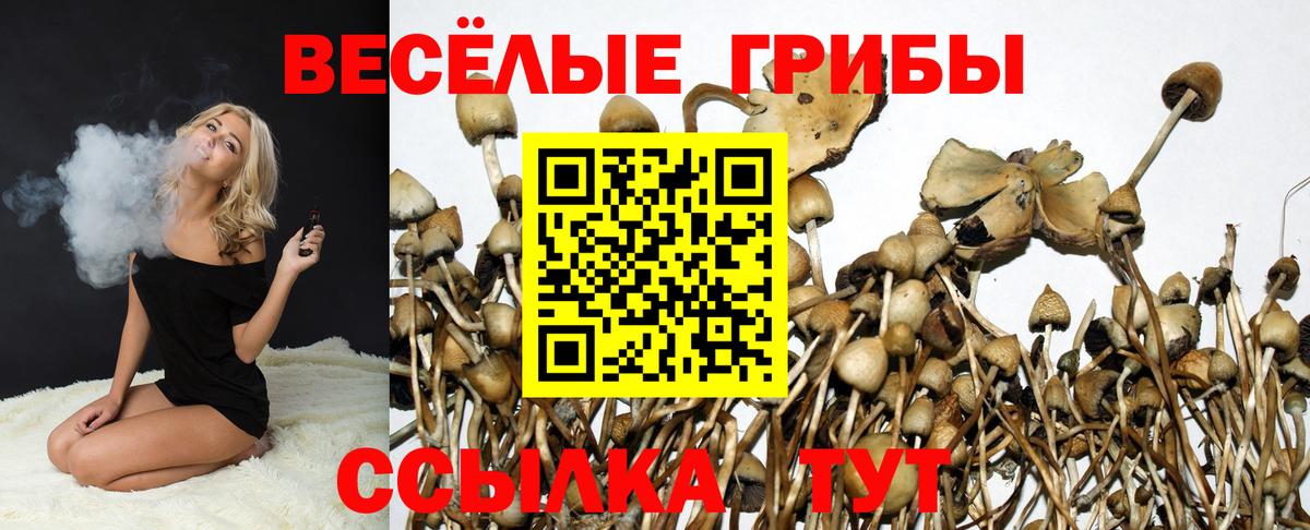 Псилоцибиновые грибы ЛСД Кисловодск